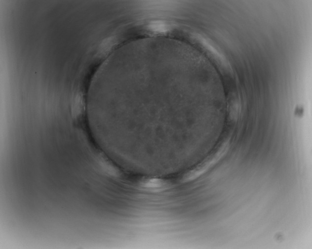 X0000103320467200809192144