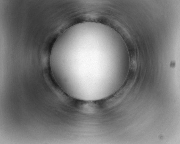 X0000103320468200809192144