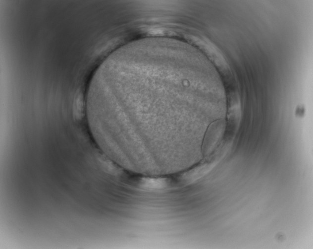 X0000103320469200809192144