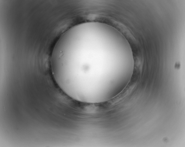 X0000103320470200809192144