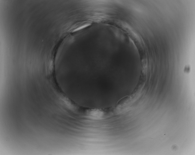 X0000103320471200809192144