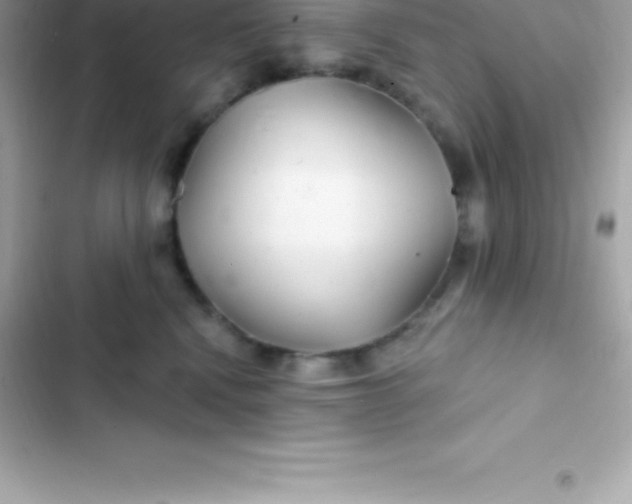 X0000103320472200809192144