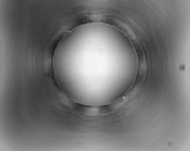 X0000103320473200809192144