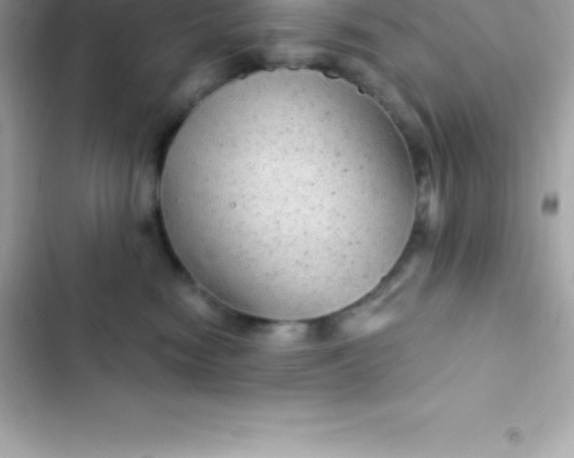 X0000103320474200809192144