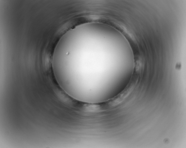 X0000103320476200809192144