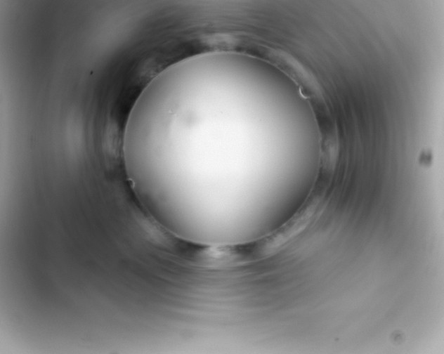 X0000103320477200809192144