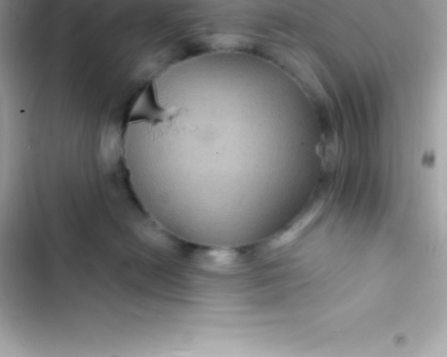 X0000103320478200809192144