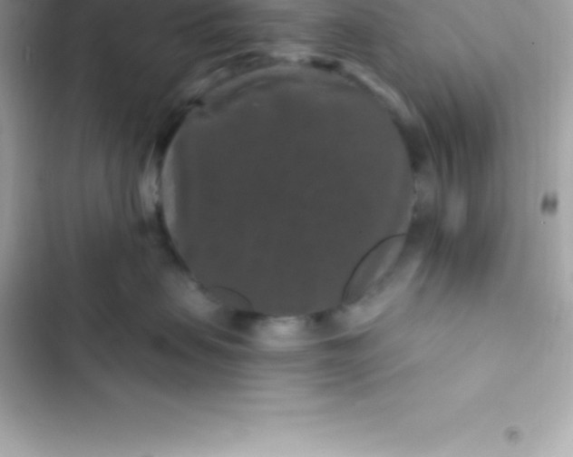 X0000103320479200809192144