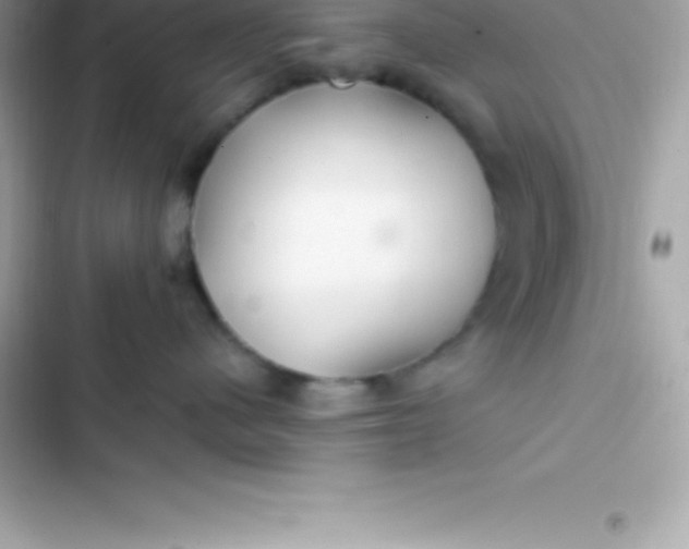 X0000103320480200809192144