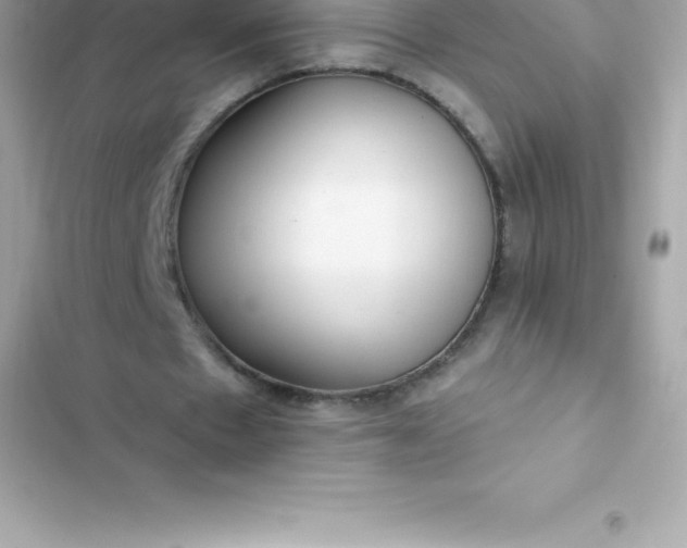 X0000103320481200809192144