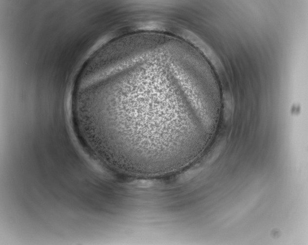 X0000103320482200809192144