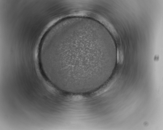 X0000103320483200809192144