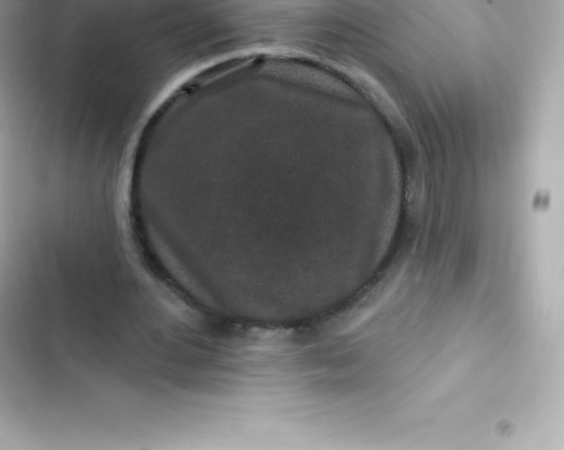 X0000103320484200809192144