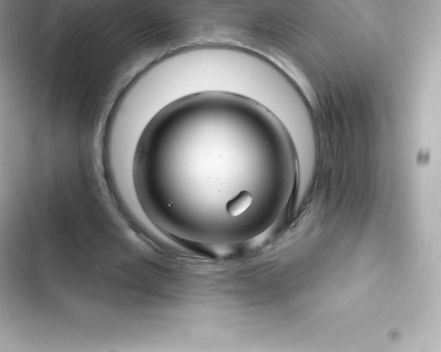 X0000103320485200809192144