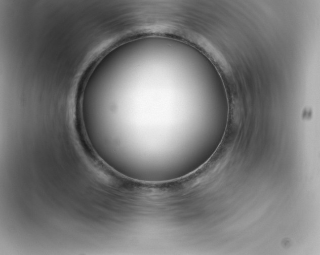 X0000103320486200809192144