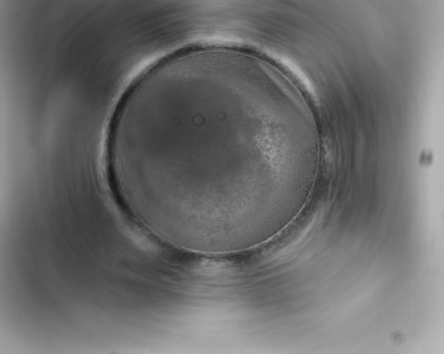 X0000103320487200809192144