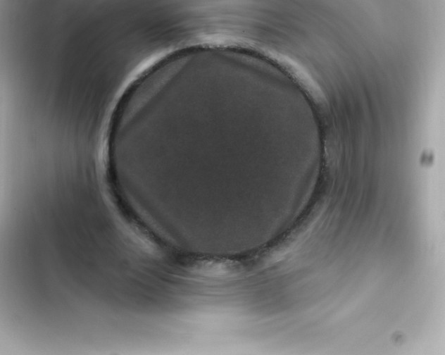 X0000103320488200809192144