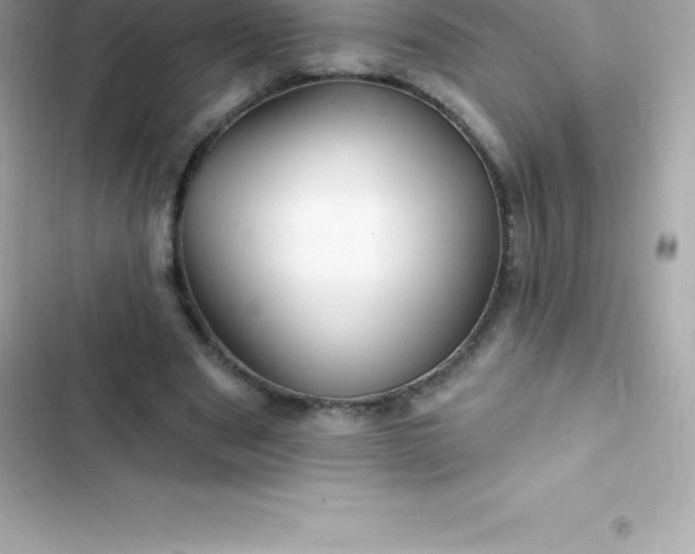 X0000103320489200809192144