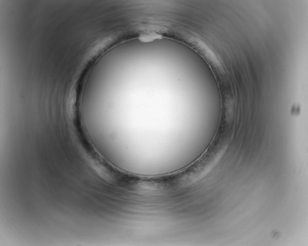 X0000103320490200809192144