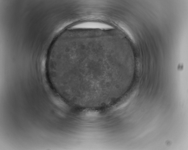 X0000103320491200809192144