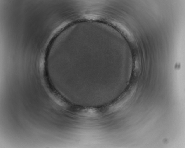 X0000103320492200809192144