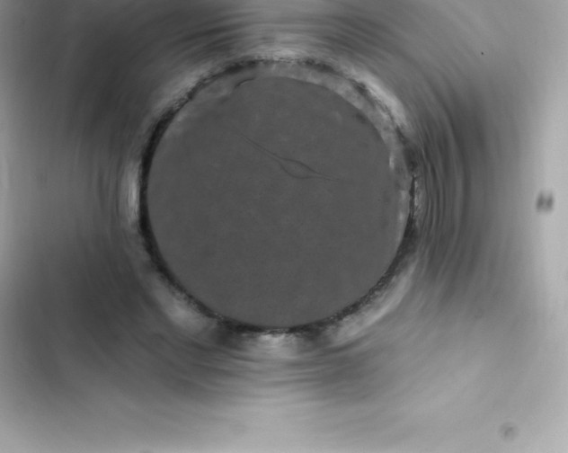 X0000103320493200809192144