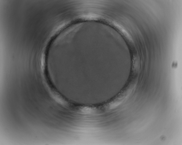 X0000103320494200809192144