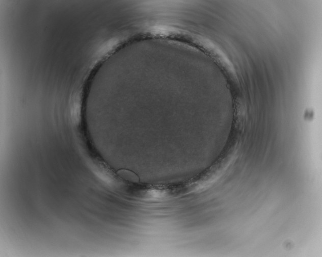 X0000103320496200809192144