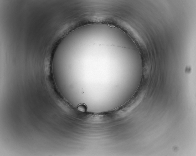 X0000103320497200809192144