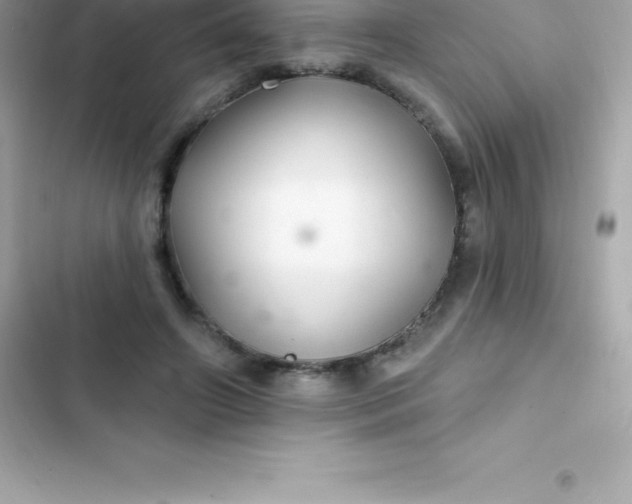 X0000103320498200809192144