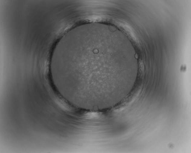 X0000103320499200809192144