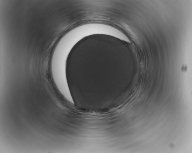 X0000103320500200809192143