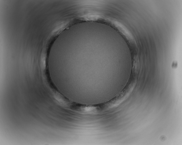 X0000103320501200809192143