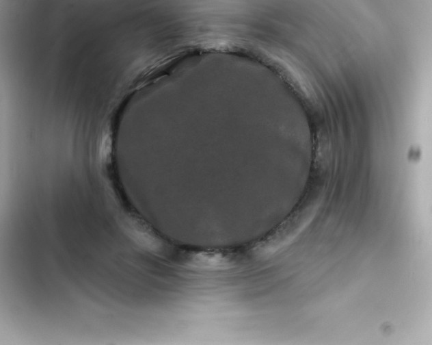 X0000103320502200809192143