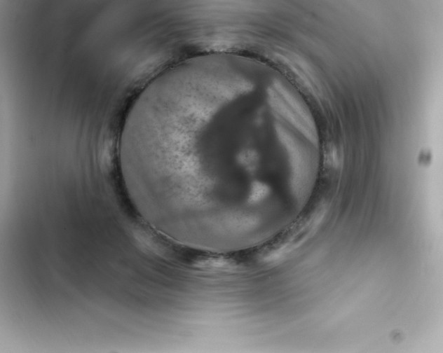 X0000103320503200809192143