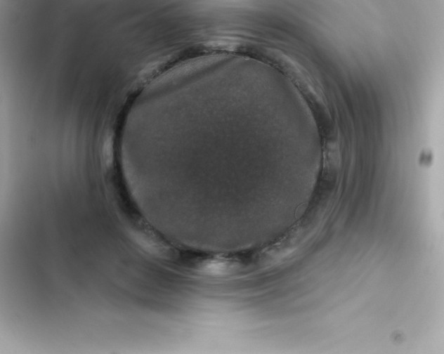 X0000103320504200809192143