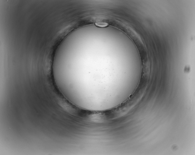 X0000103320505200809192143