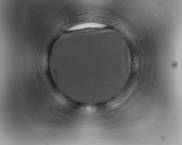 X0000103320506200809192143