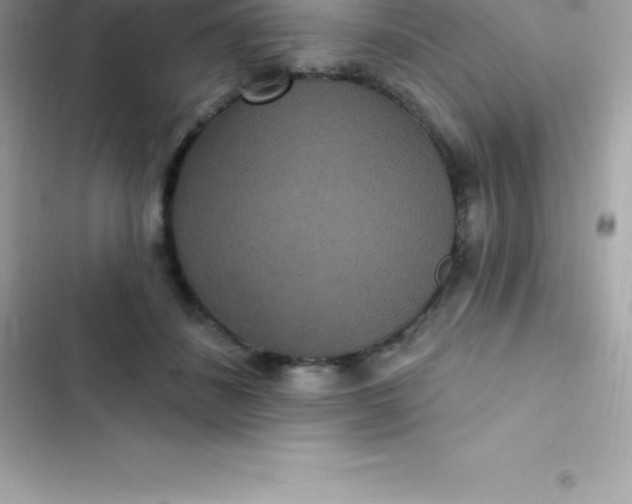 X0000103320508200809192143