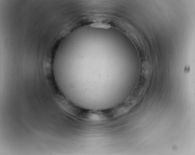 X0000103320510200809192143