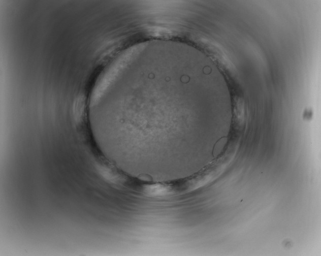 X0000103320511200809192143