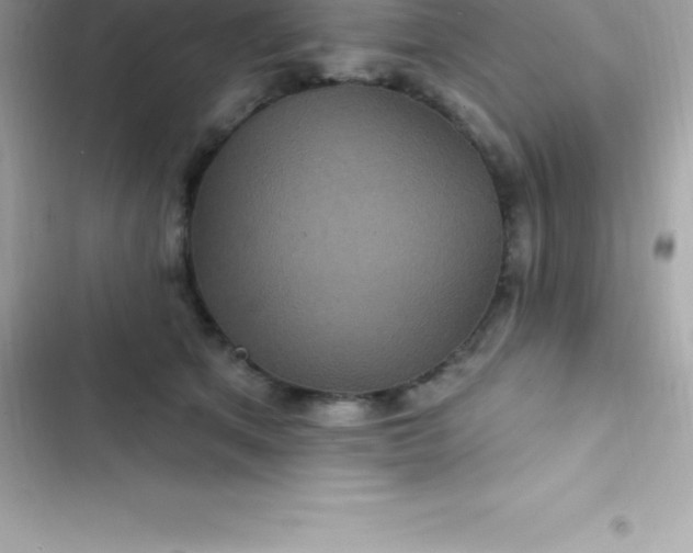 X0000103320513200809192143