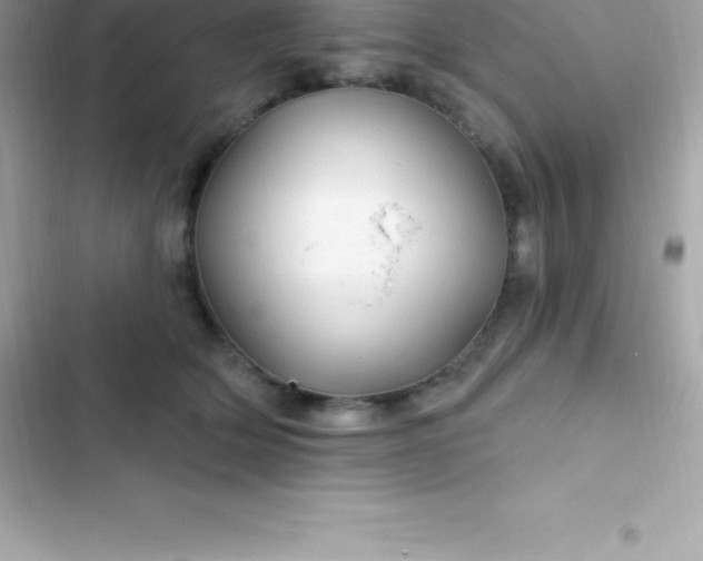 X0000103320514200809192143