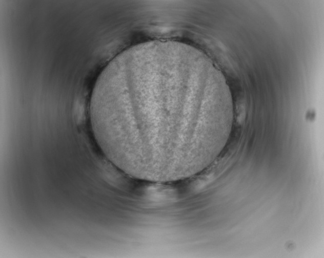 X0000103320515200809192143