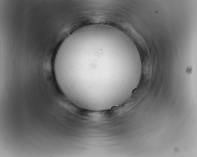 X0000103320516200809192143