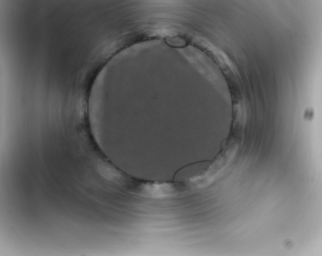 X0000103320517200809192143