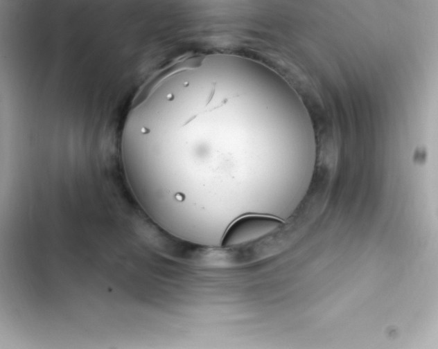 X0000103320518200809192143