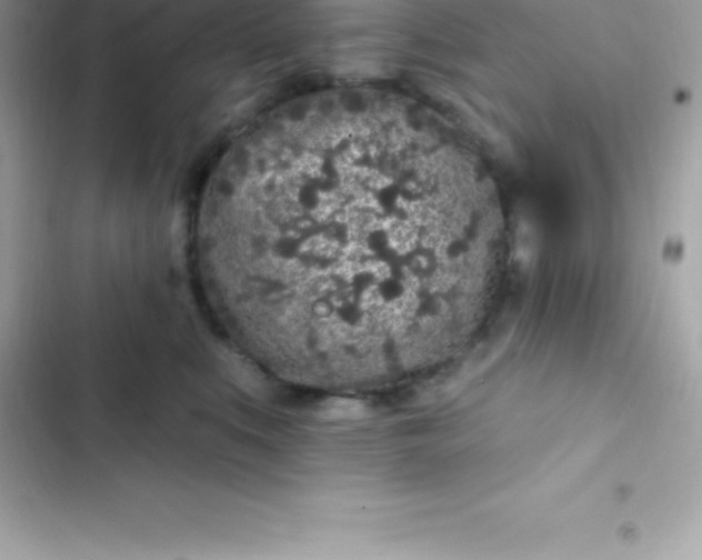 X0000103320519200809192143