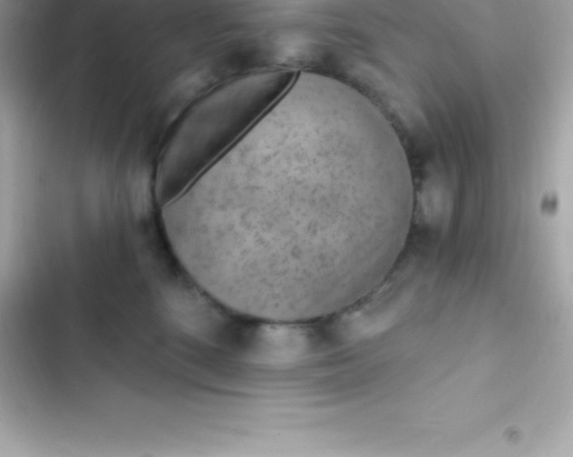 X0000103320520200809192143