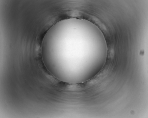 X0000103320521200809192143